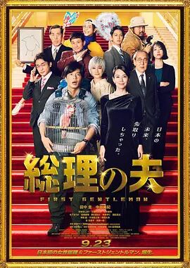 国内精品视频在线